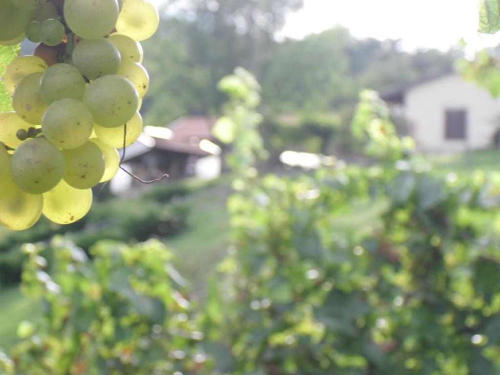 Farm stay Agriturismo Cornolade *